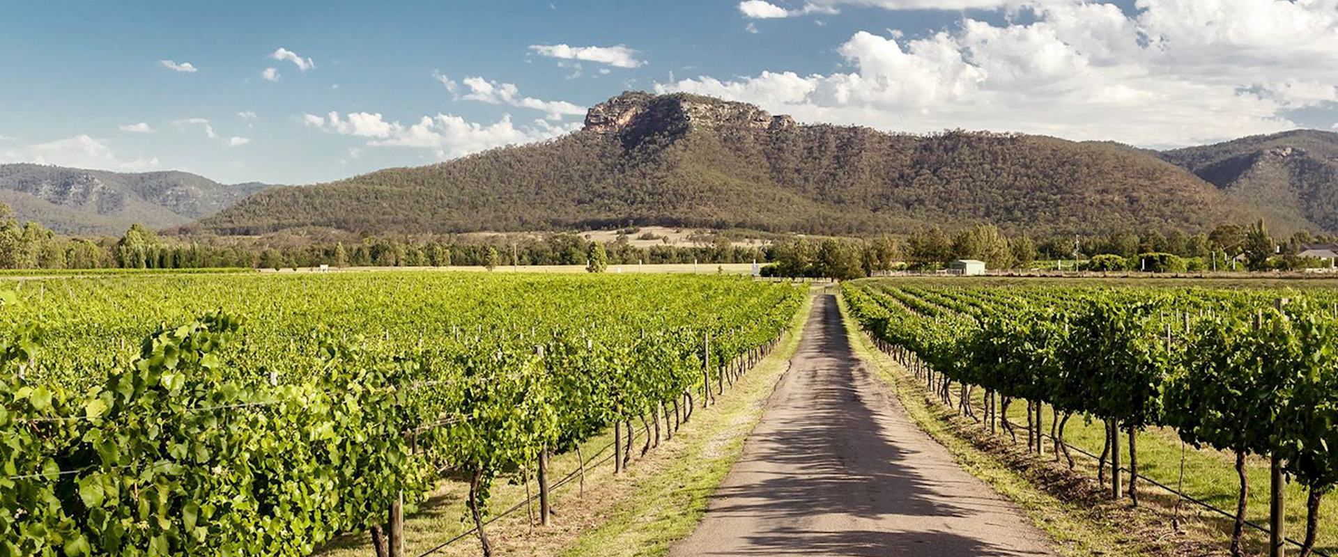 House and Land Packages Hunter Valley | No1 Property Guide